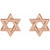 14K Rose Gold Star of David Earrings