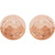 14K Rose Gold Hammered Disk Earrings