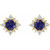 14K Yellow Gold Natural Iolite & 1/6 CTW Natural Diamond Halo-Style Earrings