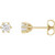 14K Yellow Gold 1/2 CTW Natural Diamond Stud Earrings