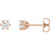 14K Rose Gold 1/2 CTW Natural Diamond Stud Earrings
