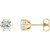 14K Yellow Gold 1 1/2 CTW Natural Diamond Stud Earrings