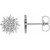 Platinum Sun Earrings