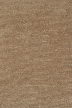 Polished Cotton Camel - flatshot