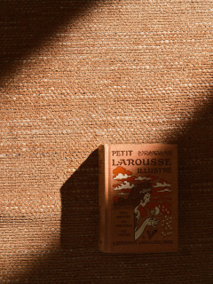 Vara rug in Terra, styled vignette with a vintage book