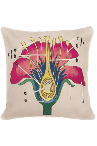 Botanical Anatomy Cushion by  - Flatshot