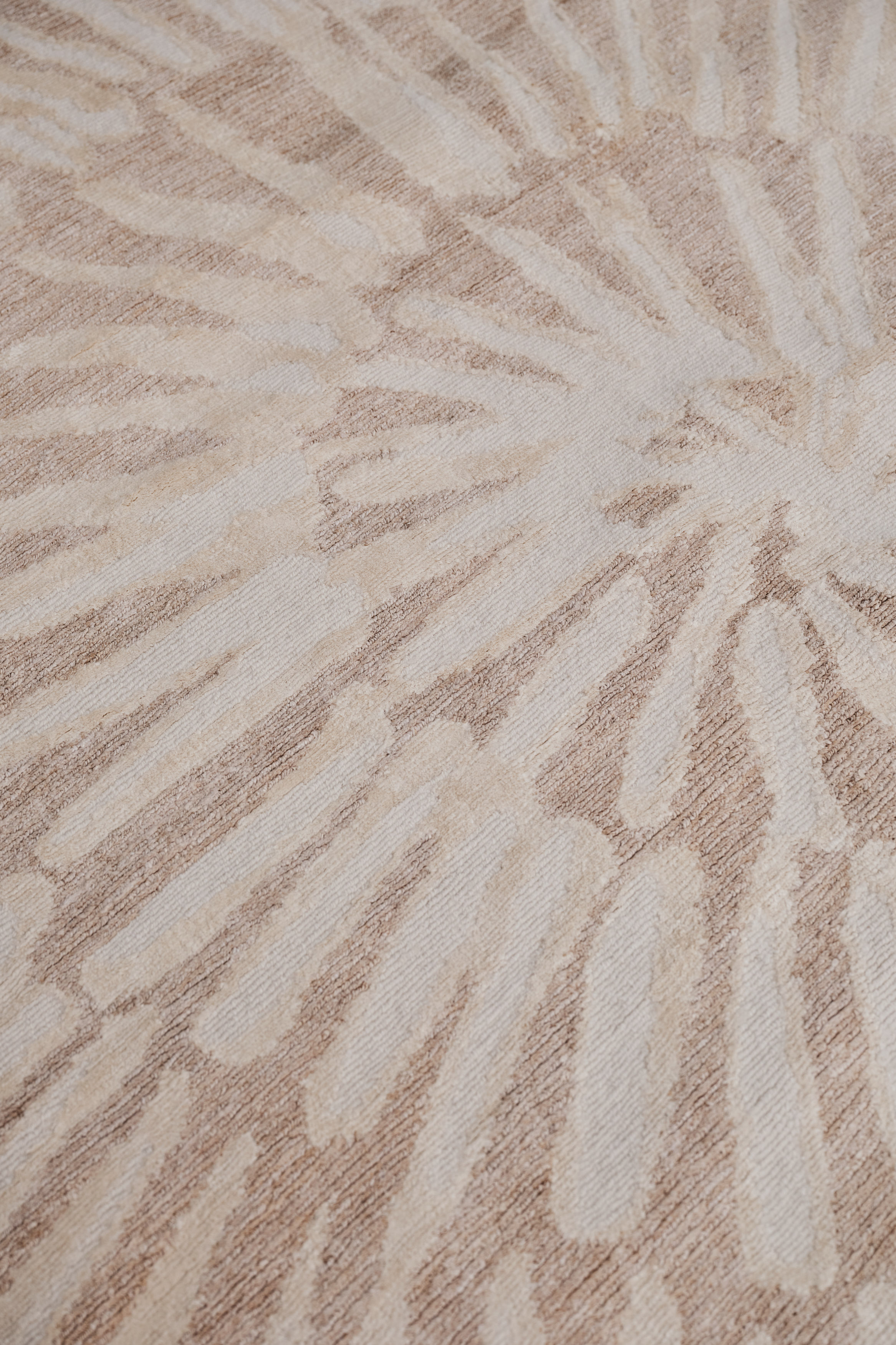 Ammonite Natural by Winch - closeup