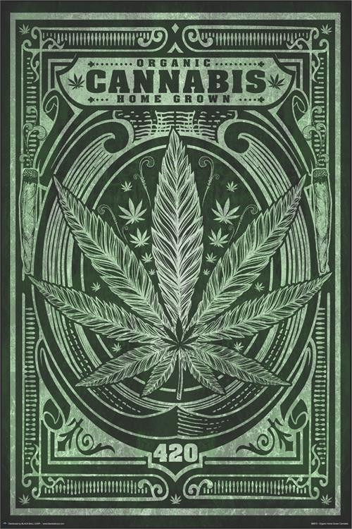Organic Home Grown Cannabis Poster 24in x 36in