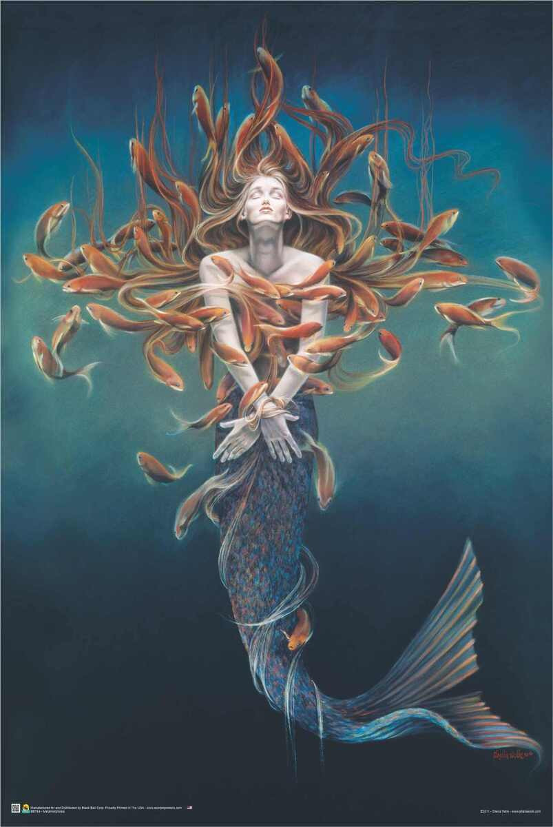BB764-Metamorphosis-by-Sheila-