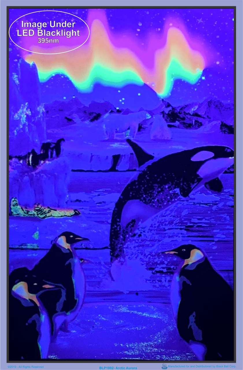 Arctic Aurora Blacklight Poster 23 x 35