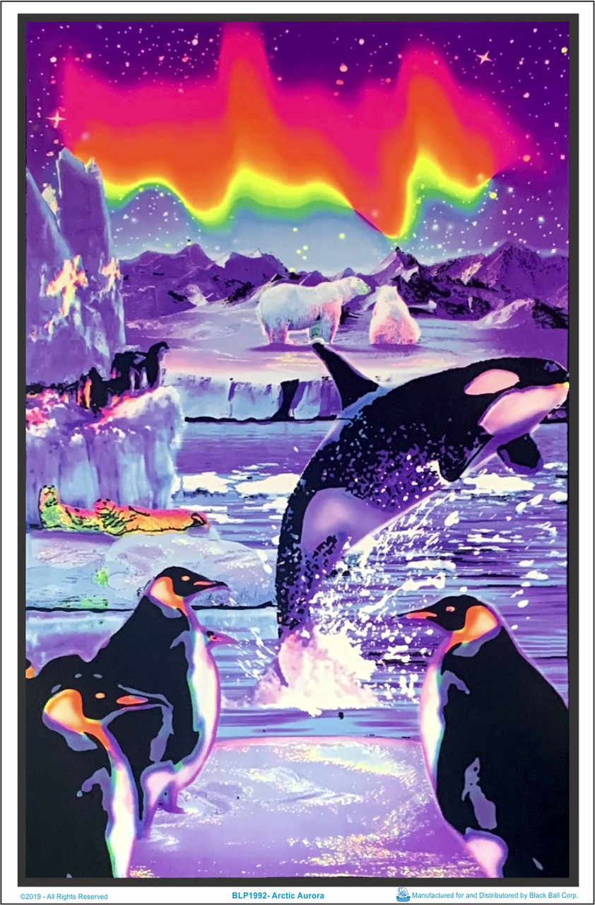 希少　1980's　イリュージョンライト　ポスター　ディスプレイ　ブラックライト BLP1992_-_artic-aurora-