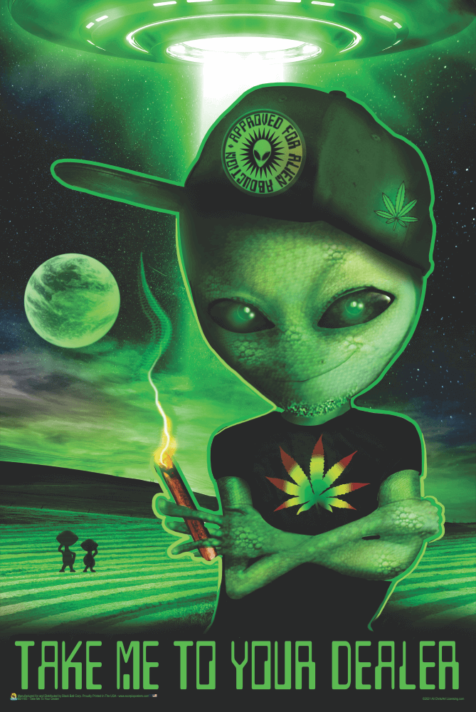 Take Me to Your Dealer by Ali Chris Poster 24