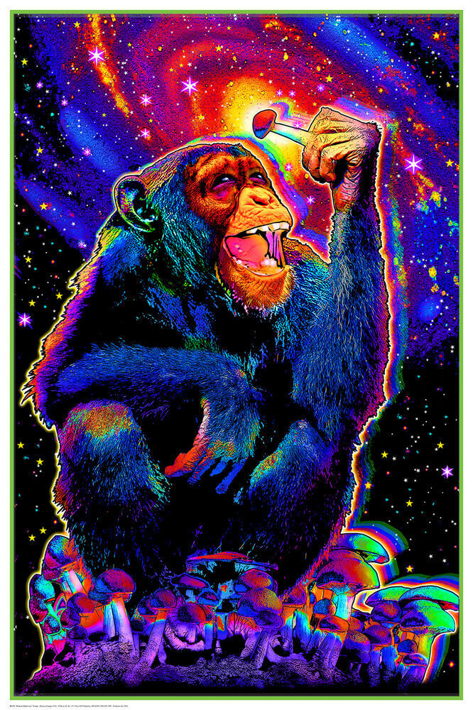 MONKEY MARK コズミック・パラシュート グラフィックアート A1サイズ Monkey Mushroom - Non-flocked Blacklight Poster 24