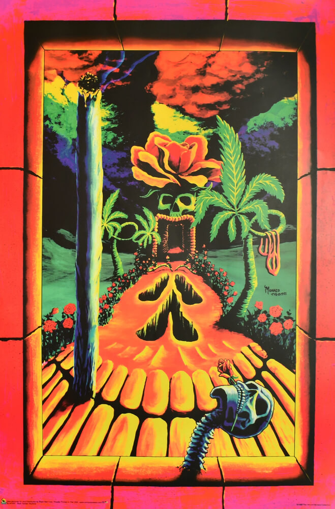 Skull Garden Illusions Non-Flocked Blacklight Poster 24