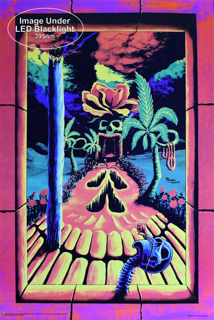 90s ヴィンテージ　ブラックライトポスター　スカル　グロウ Skull Garden Illusions Non-Flocked Blacklight Poster 24