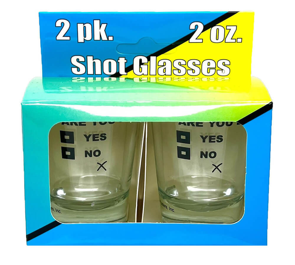 Are You Drunk? 2oz Novelty Shot Glass 2 Piece Set