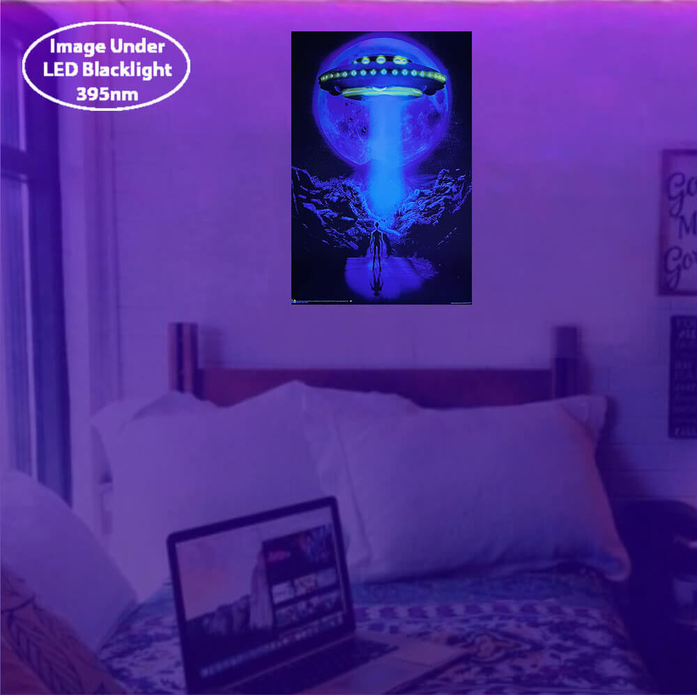 ジョナサンゲイ作　UFO 宇宙　スペースロード　ブラックライトポスター Space Road by Jonathan Gay - Non-Flocked Blacklight Poster 24