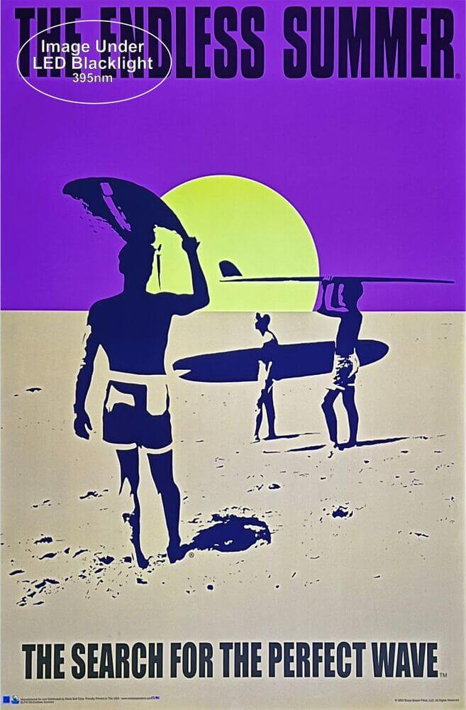 Endless Summer Non-Flocked Blacklight Poster 24