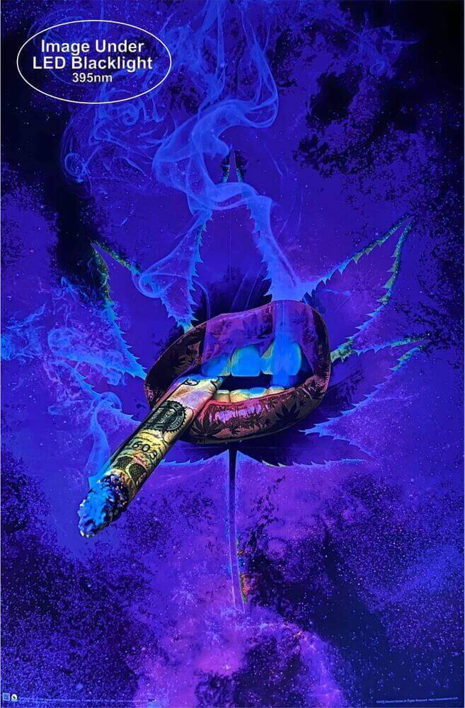 Cosmic High by Daveed Benito Non-Flocked Blacklight Poster - 24