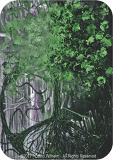 Tree Of Peace By: David Wilhelm - Sticker - 3 1/2" x 2 3/4"