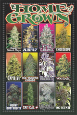 Home Grown Poster Image