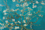 Almond Blossoms Decorative Poster 36x24