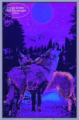 Image under black light of Timberwolves Blacklight Poster