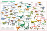 Dinosaur Evolution Poster 24x36