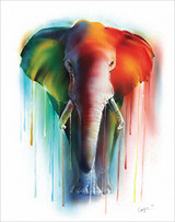 Elephant Dreams by Sophia - Art Print / Poster 11x14 inches