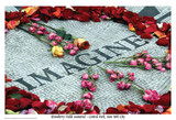 Imagine Peace Flowers John Lennon Memorial Poster 36x24