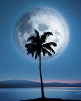 Dreamland Moonlight Palm Tree and Moon Poster 16x20