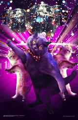 Disco Cat Rave by James Booker Mini Poster - 11" x 17"