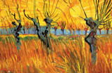 Vincent Van Gogh - Willows at Sunset Mini Poster 17" x 11"