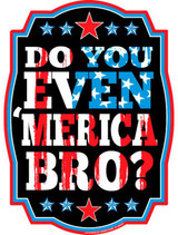 Do You Even 'Merica Bro - Postcard Sized Vinyl Sticker 6" x 4.25"