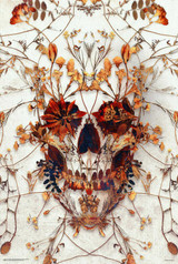 Delicate Skull by Ali Gulec Poster - 24" x 36"