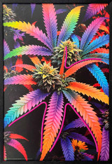 Herbal Cannibis Leaves Framed LED Neon Light Canvas Print - 24" x 36"