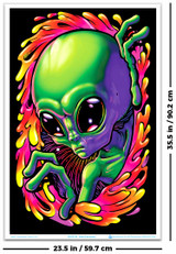 Alien Encounter Flocked Blacklight Poster - 23" x 35"