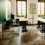 North American Frogs & Toads Poster - 24" x 36"