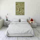 North American Frogs & Toads Poster - 24" x 36"