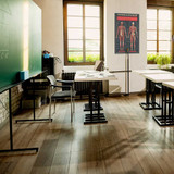 The Muscular System Poster - 24" x 36"