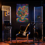 Psychedelic Van Gogh Sunflowers - Non-Flocked Blacklight Poster 24" x 36"