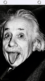 Einstein Tongue Fly Flag