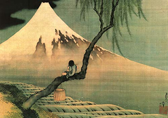 Boy Viewing Mount Fuji by Hokusai Art Print Poster (20x16)