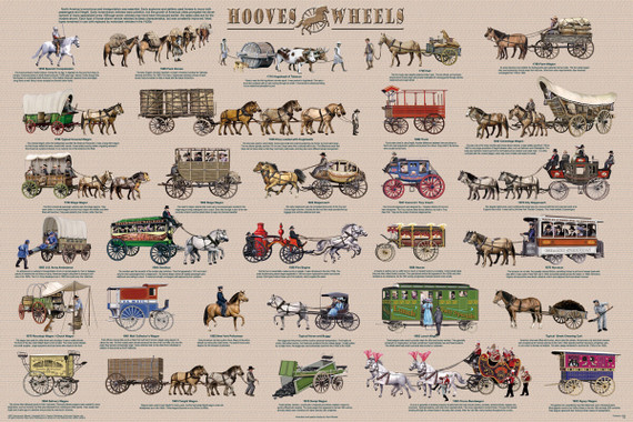 Hooves and Wheels Educational Poster 36x24