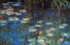 Claude Monet - Water Lillies Poster 17" x 11"
