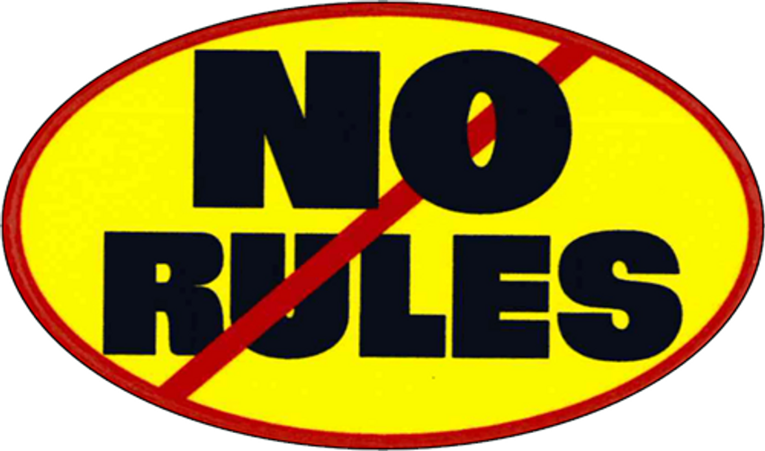 No Rules - 3 1/2" X 2 1/2" - Sticker