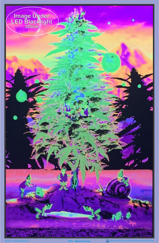 Image under black light of Weed Gnomes Blacklight Poster