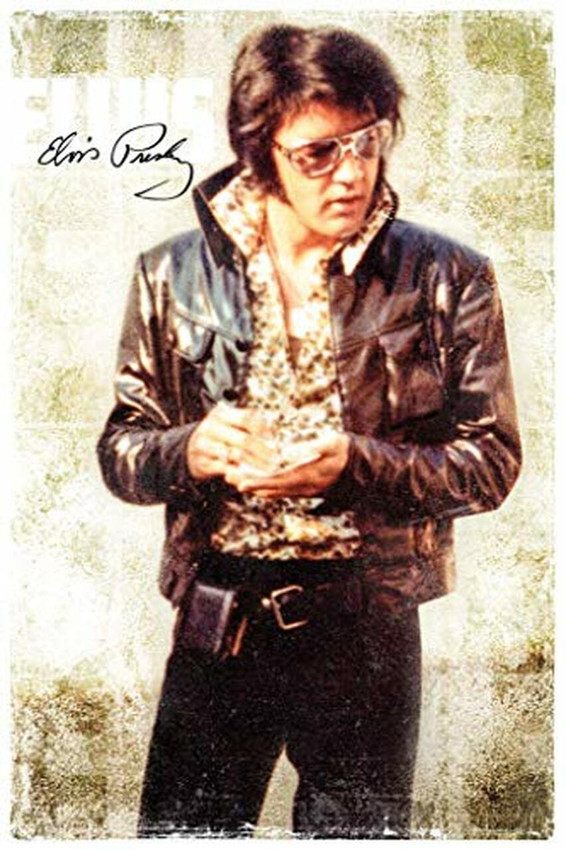 Elvis Presley Poster 24x36