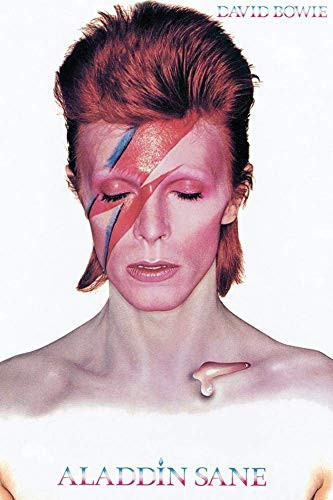 新品A1サイズ DAVID BOWIE アートポスター David Bowie - Aladdin Sane Poster 24 x 36in