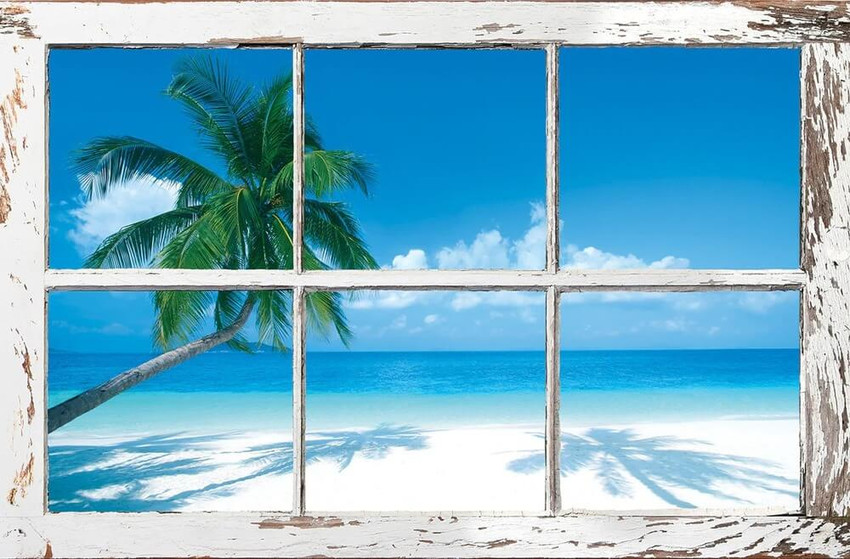 Tropical Window - Palm Trees Poster 24X36